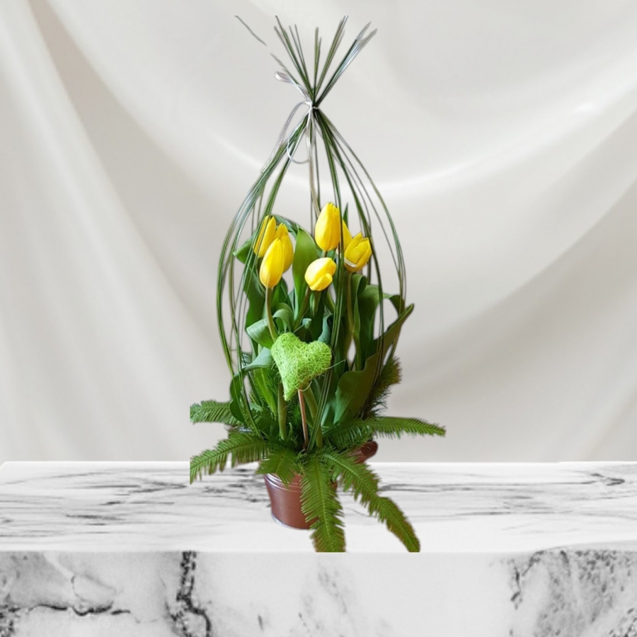 Birdcage Tulips