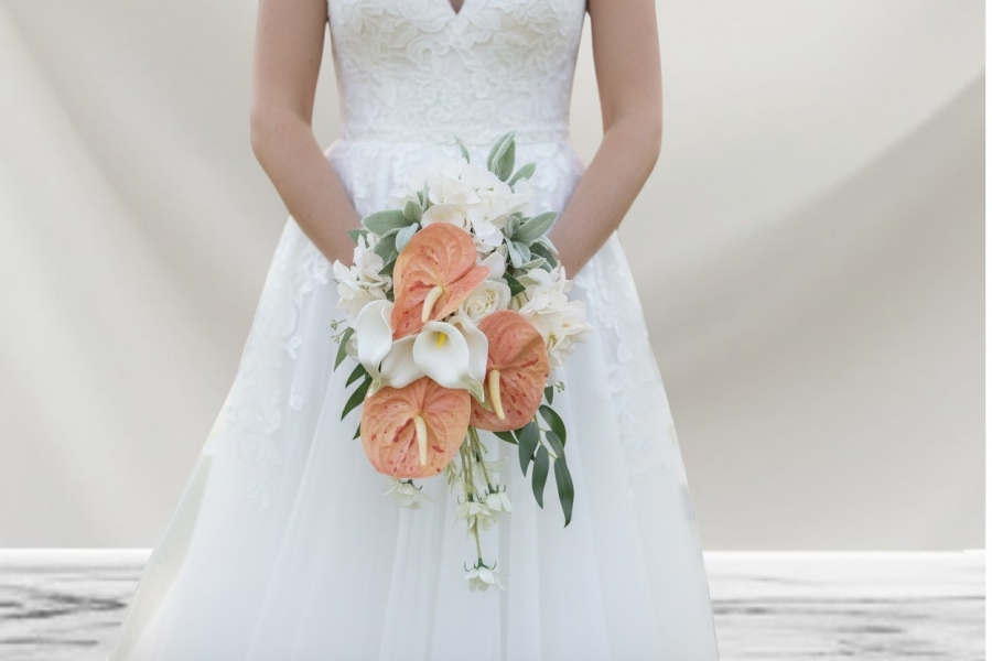 Apricot Blush