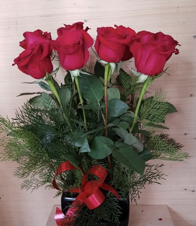 Red rose 1