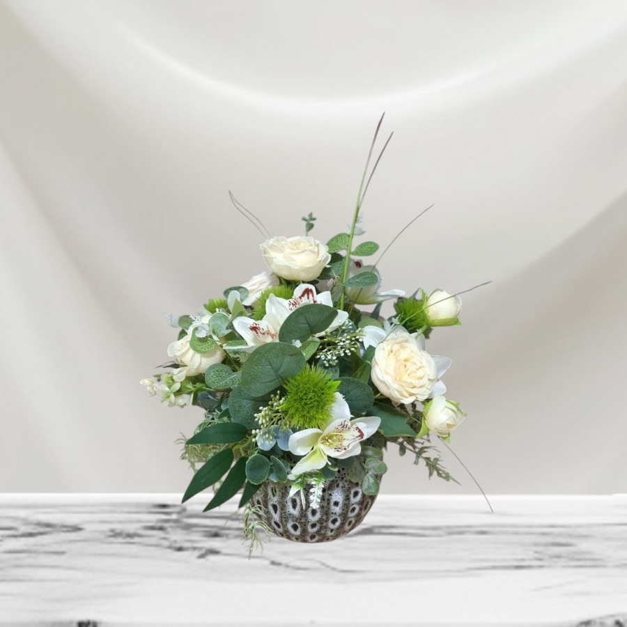 Cream Rose 4